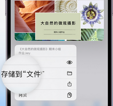 渝中apple维修中心分享iPhone文件应用中存储和找到下载文件