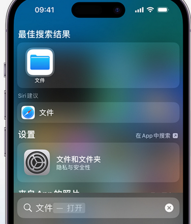 渝中apple维修中心分享iPhone文件应用中存储和找到下载文件 