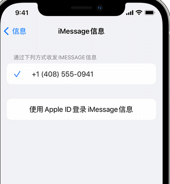 渝中apple维修iPhone上无法正常发送iMessage信息 