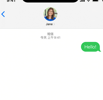 渝中apple维修iPhone上无法正常发送iMessage信息