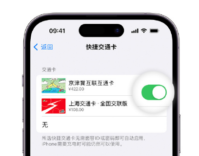 渝中apple维修点分享iPhone上更换Apple Pay快捷交通卡手绘卡面 