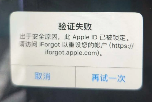 渝中iPhone维修分享iPhone上正常登录或使用AppleID怎么办 