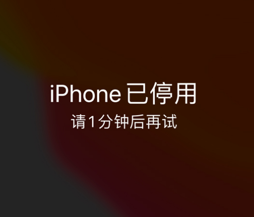 渝中苹果手机维修分享:iPhone 显示“不可用”或“已停用”怎么办？还能保留数据吗？ 