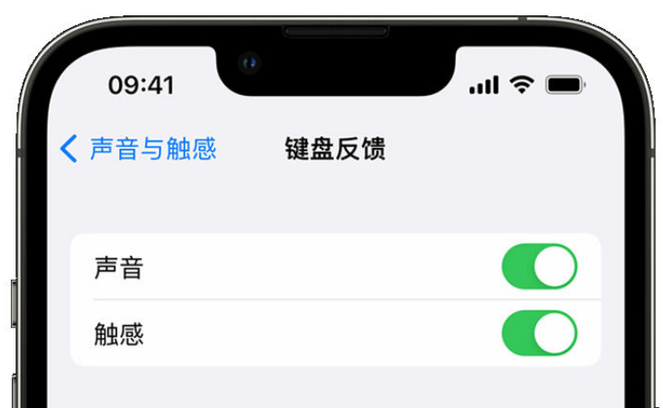 渝中苹果手机维修分享iPhone 14触感键盘使用方法 