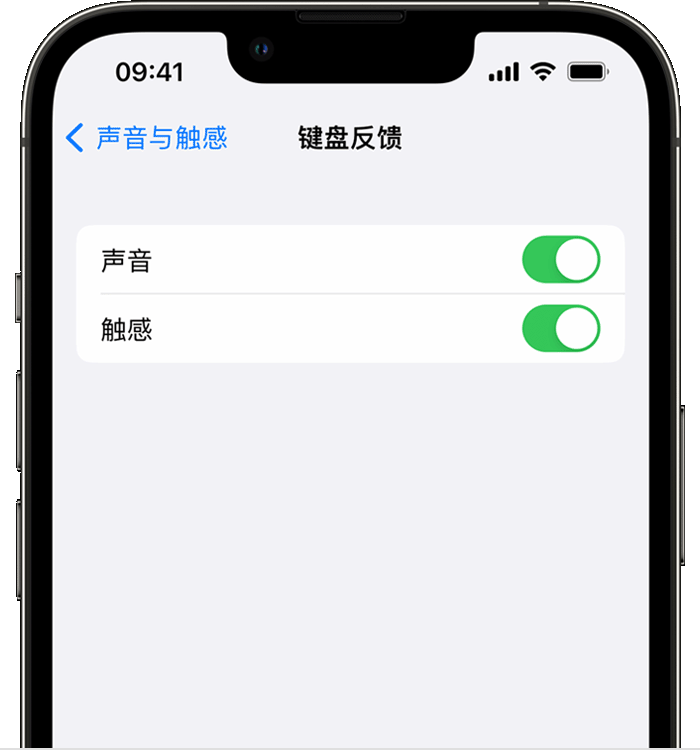 渝中苹果14维修店分享如何在 iPhone 14 机型中使用触感键盘 