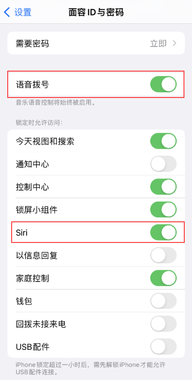 渝中苹果维修网点分享不解锁 iPhone 的情况下通过 Siri 拨打电话的方法 