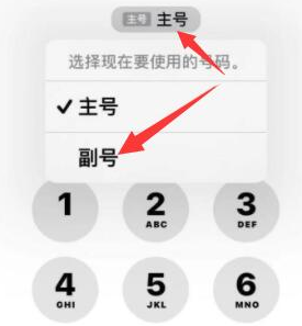 渝中苹果14维修店分享iPhone 14 Pro Max使用副卡打电话的方法 