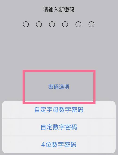 渝中苹果14维修分享iPhone 14plus设置密码的方法 