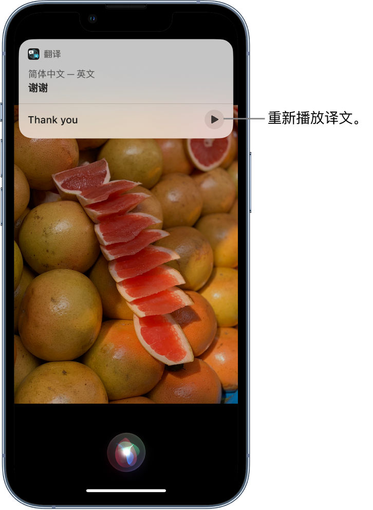 渝中苹果14维修分享 iPhone 14 机型中使用 Siri：了解 Siri 能帮你做什么 