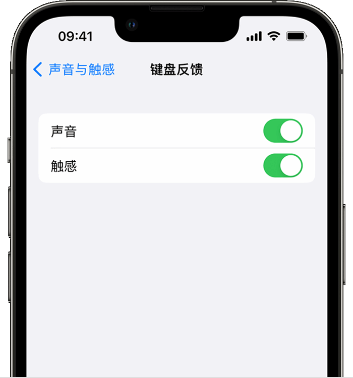 渝中苹果14维修分享iPhone 14 系列机型如何开启键盘声音或触感反馈 