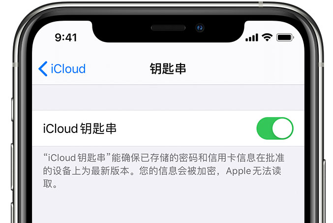 渝中苹果手机维修分享在 iPhone 上开启 iCloud 钥匙串之后会储存哪些信息 