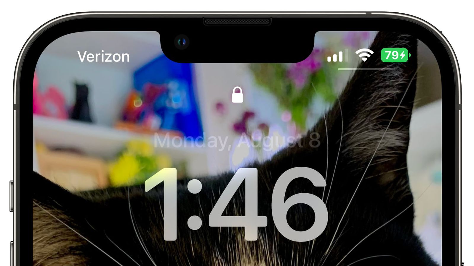 渝中苹果手机维修分享iOS 16 beta 5 支持状态栏显示电池百分比，如何开启？支持哪些机型 