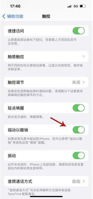 渝中苹果手机维修分享iPhone手机如何设置摇一摇删除文字 