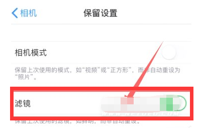 渝中苹果13维修分享iPhone13拍照有绿点是怎么回事 