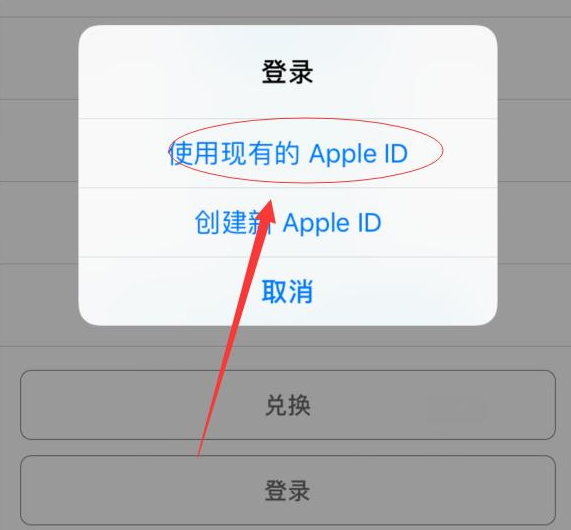 渝中苹果手机维修分享两台iPhone设备可以同时登录一个Apple ID吗 