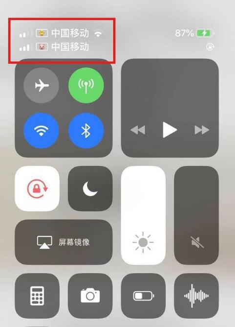 渝中苹果手机维修分享为 iPhone 12 双卡设置标签 