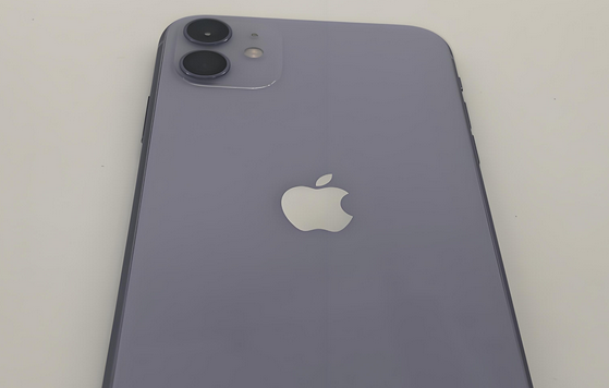 渝中苹果11系统维修分享iPhone11手机系统崩溃无法开机如何解决 